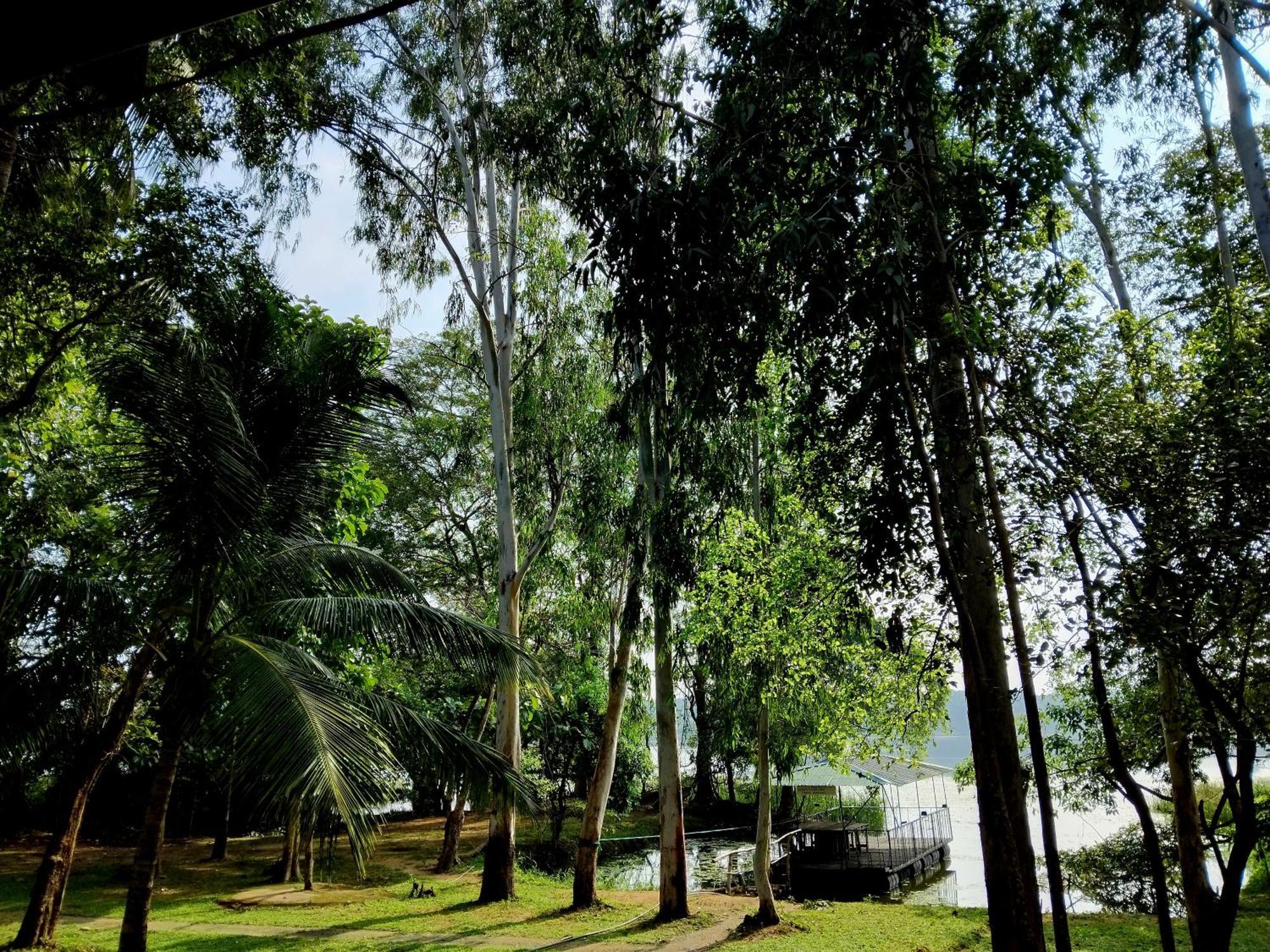Nature'S Lake View Sigiriya Дамбулла Экстерьер фото