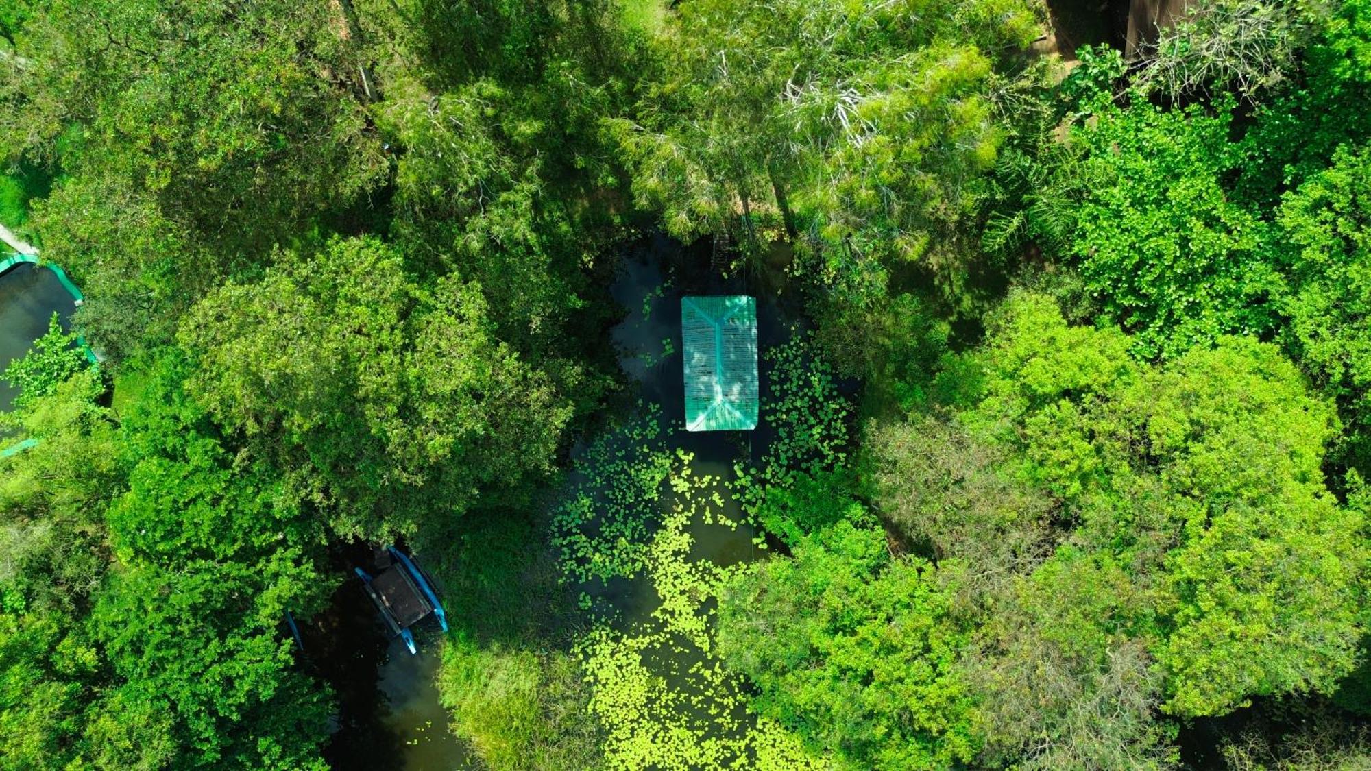 Nature'S Lake View Sigiriya Дамбулла Экстерьер фото